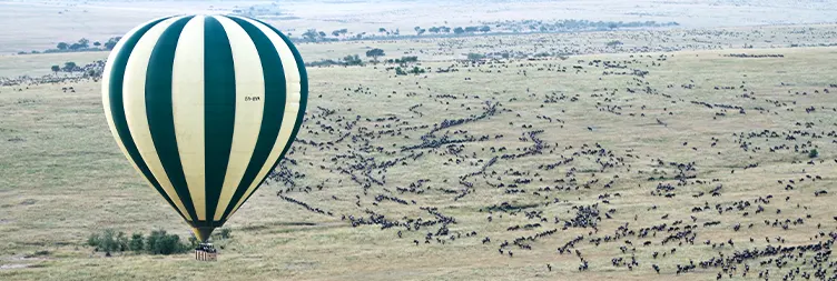 4 Days Serengeti Migration off-Road Safari