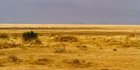 3 Days Tanzania Luxury Christian Safari