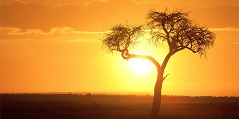 7 Days Tanzania Midrange Christmas Holiday Safari