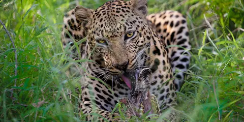 1 Day Tanzania Photograph Safari to Lake Manyara National Park