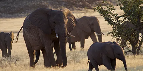 5 Days Serengeti Migration Safari in October