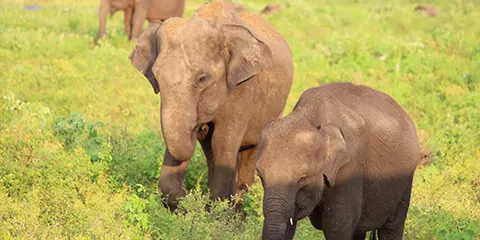 7 Days Tanzania Midrange Safari in December