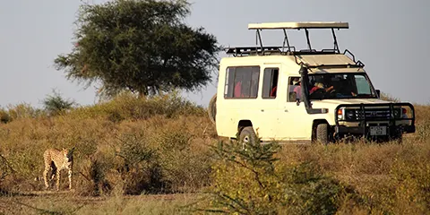 4 Days Tanzania Safari In August to Serengeti & Ngorongoro