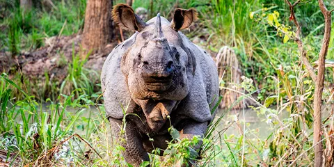 3 Days Private Midrange Safari to Serengeti and Ngorongoro