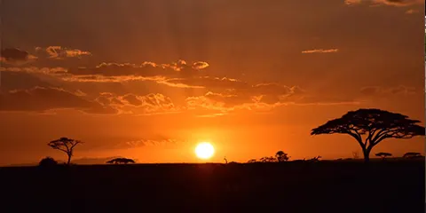 8 Days Serengeti Migration Safari in November