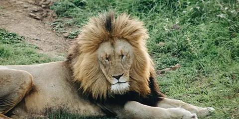 2 Days Tanzania Photograph Safari Tarangire to Ngorongoro