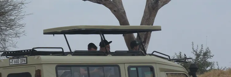 5 Days Private Midrange Tanzania Safari Fly in Tour