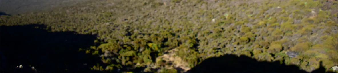 Kilimanjaro Marangu Route 