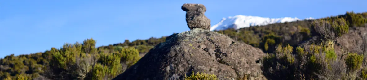 Kilimanjaro Marangu Route 
