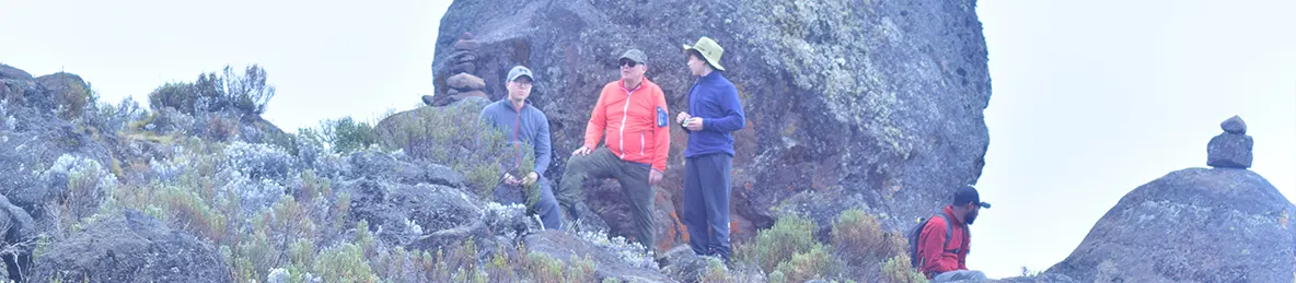 Kilimanjaro Marangu Route 