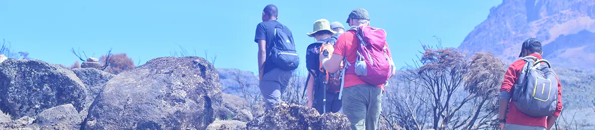 Kilimanjaro Marangu Route 