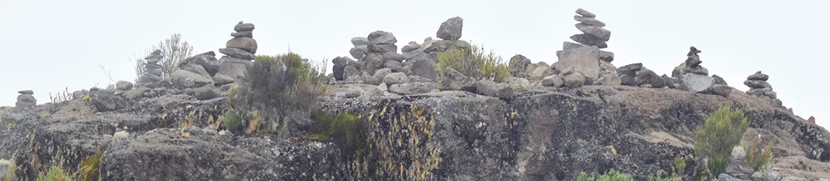 Kilimanjaro Marangu Route 