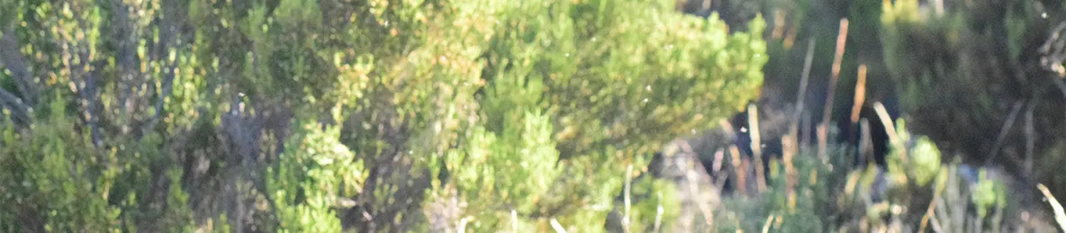 Kilimanjaro Marangu Route 