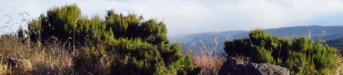 Kilimanjaro Marangu Route 