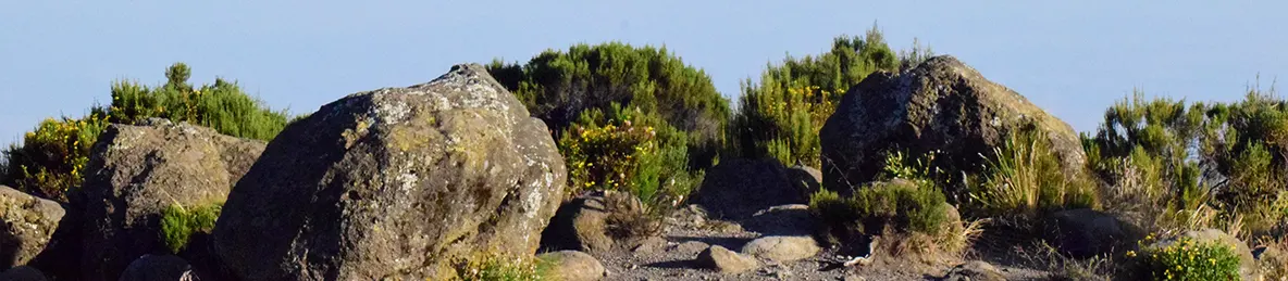 Kilimanjaro Marangu Route 