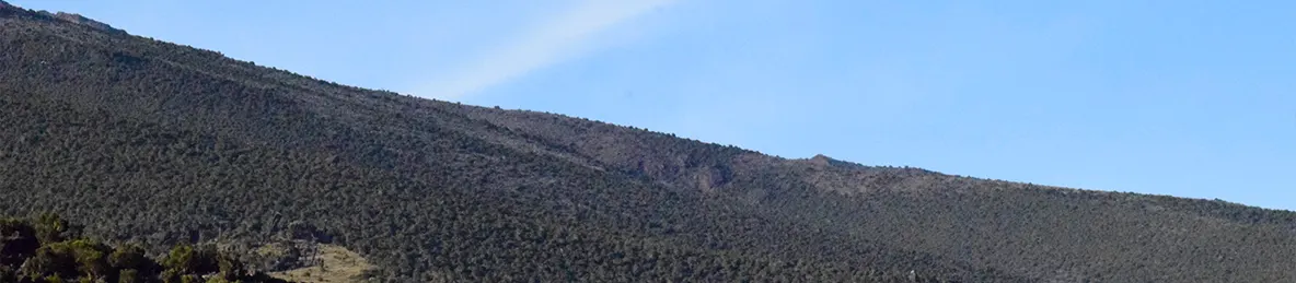 Kilimanjaro Marangu Route 