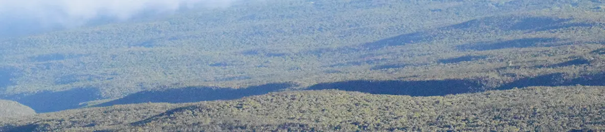 Kilimanjaro Marangu Route 
