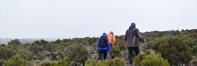 Horombo Hut (Acclimatization Day) 