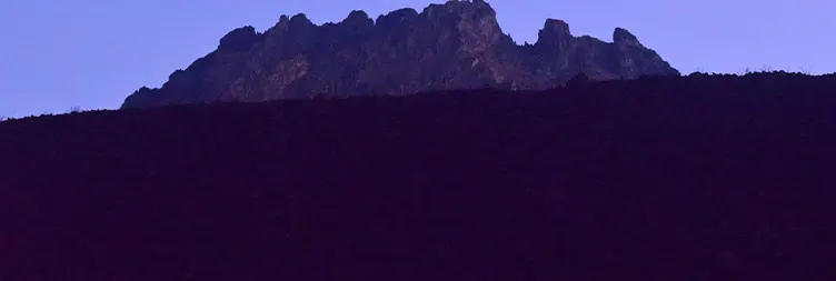 Climb from mandara hut to horombo hut