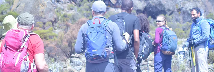 Acclimatization Day at Horombo Hut to Zebra Rocks to Horombo Hut