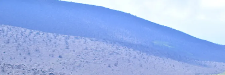 Horombo Hut to Mawenzi - Back to Horombo Hut (Full Day Acclimatization Day) 