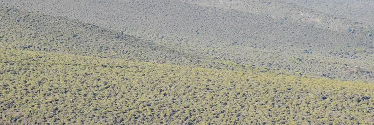 Kibo Hut  to Uhuru Peak - Back to Horombo Hut