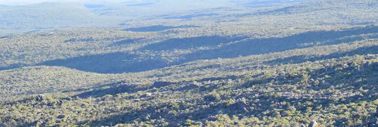 Horombo Hut Mawenzi - Back to Horombo Hut (Full Day Acclimatization Day) 