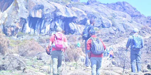 6 Days Marangu Hiking Kilimanjaro Summit Glory