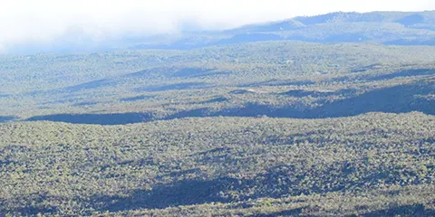 6 Days Summit Serenity Marangu Route Kilimanjaro Trekking