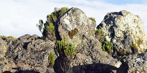 6 Days Tanzania  Marangu Route Kilimanjaro Trekking 