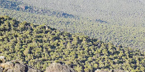 6 Days Discover Kilimanjaro Majesty Trek Marangu Route Adventure