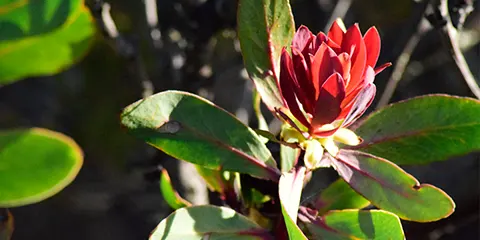 6 Days Kilimanjaro Hiking Journey to the Roof Marangu Route Adventure