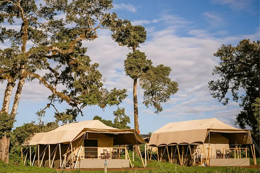 Angata Ngorongoro Tented Camp Images