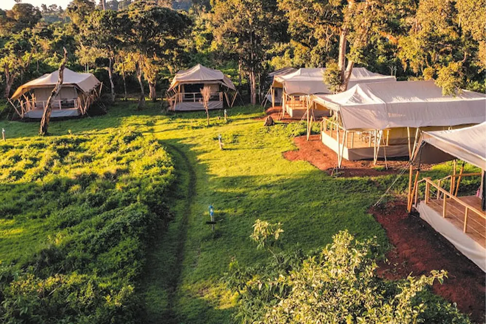 Angata Ngorongoro Tented Camp Images
