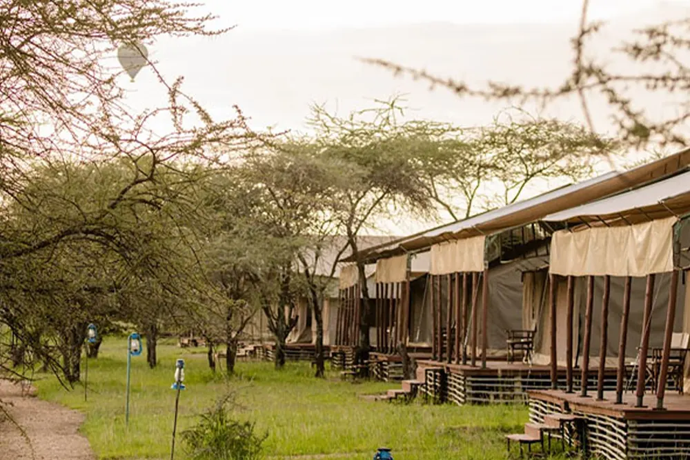 Angata Serengeti Tented Camp Images