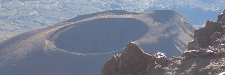 Ngorongoro Crater Tour back to Arusha 