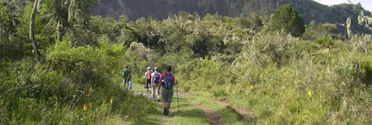 Ngorongoro Crater Full-Day Tour Back to Arusha 