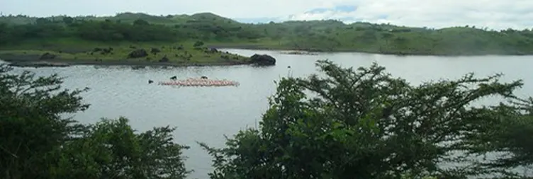 Ngorongoro Crater Tour back to Arusha 