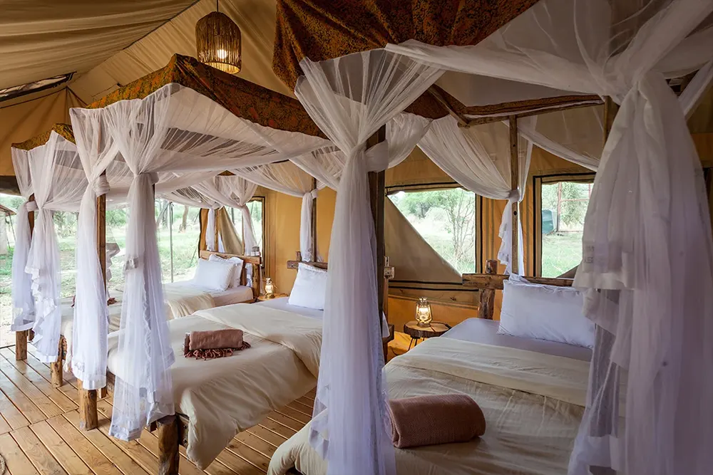 Baobab Tented Lodge Tarangire Images