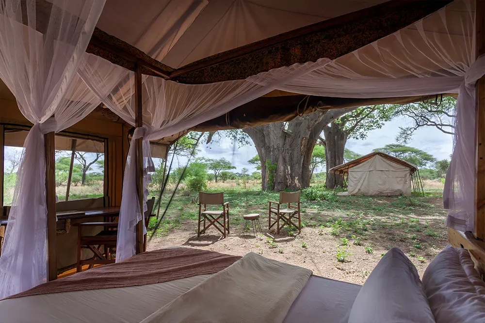 Baobab Tented Lodge Tarangire Images