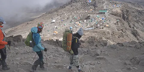 8 Days Lemosho Route Magic on Kilimanjaro Hiking Tour