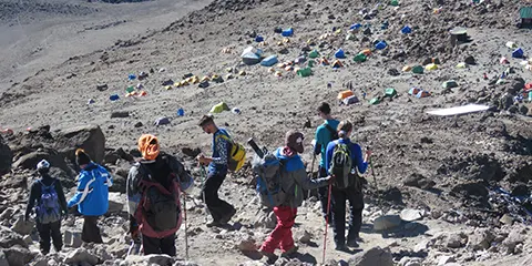 cover-8 Days Kilimanjaro Peaks in Style Lemosho Route Hiking 