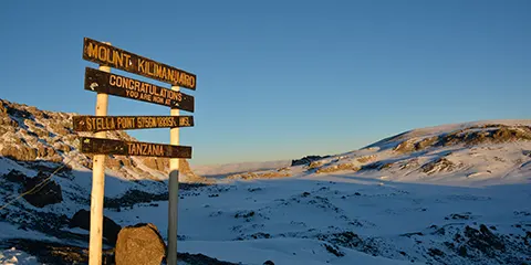 7 Days Majestic Machame Kilimanjaro Hiking Expedition