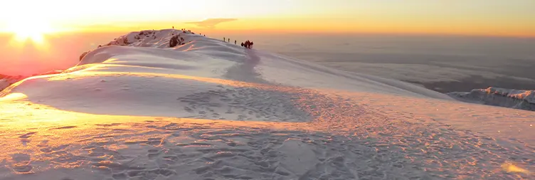 Barafu Camp to Summit to Mweka Hut