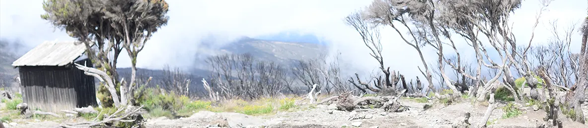 Kilimanjaro Machame Route, Lemosho Route, Umbwe Route