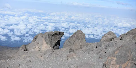 8 Days Kilimanjaro Hiking Tour via Lemosho Route