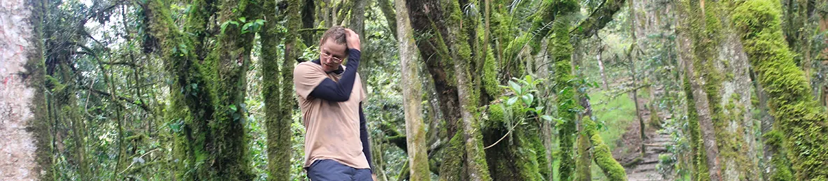 Kilimanjaro Machame Route, Lemosho Route, Umbwe Route