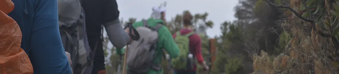 Kilimanjaro Machame Route, Lemosho Route, Umbwe Route