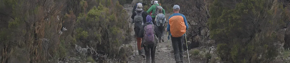 Kilimanjaro Machame Route, Lemosho Route, Umbwe Route