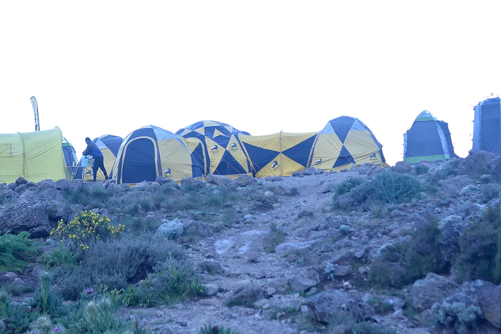 Barranco Campsite